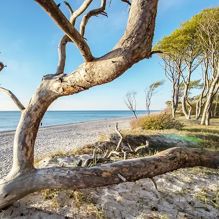 Ostseeperle - 5-sterne-ferienwohnung Fuer Den Perfekten Wellnessurlaub Mit Blick Auf Den Bodden * Wustrow (Fischland)